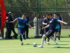 关于痛失奖牌心凉透，冠军梦想仍旧燃烧的信息